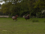 Maarten en Micheal Jackson